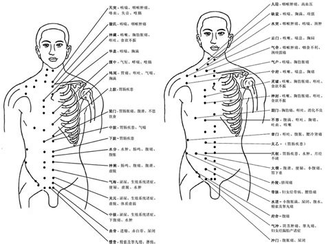 穴位|人体穴位图大全（带穴位功能主治说明）